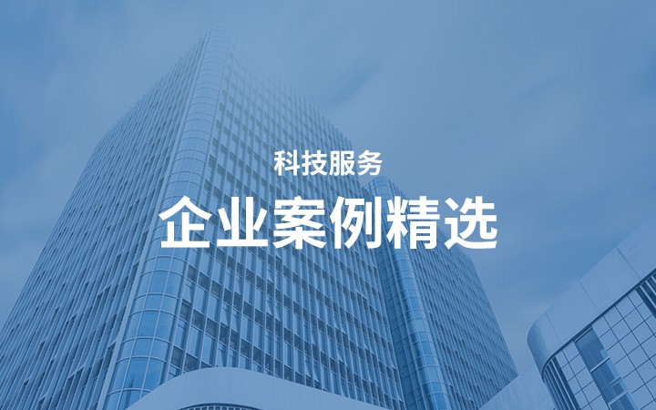 Technology services - Selected Cases of Government Services